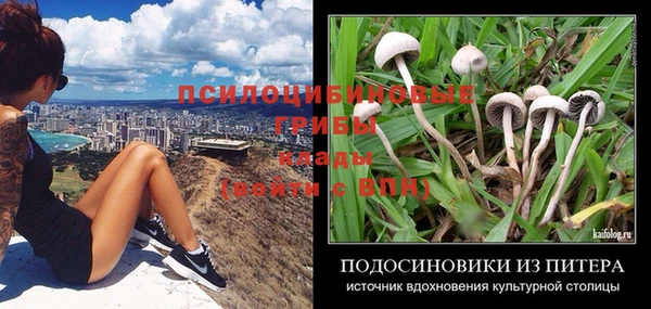 СК Армянск