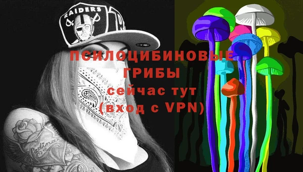 СК Арсеньев